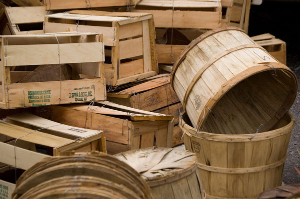 Empty crates and bushels are stacked, waiting to be
trucked home.