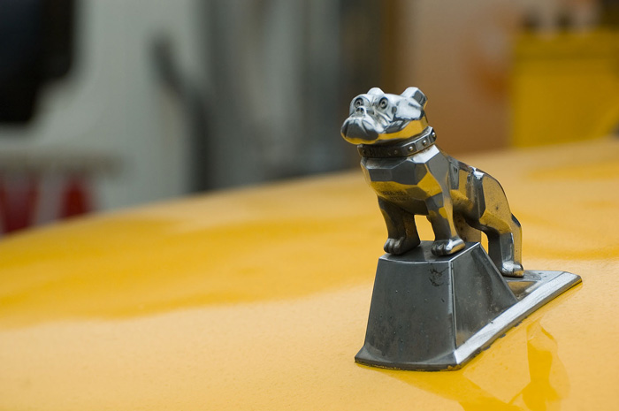 A chrome bulldog sits on the hood of a Mack truck.