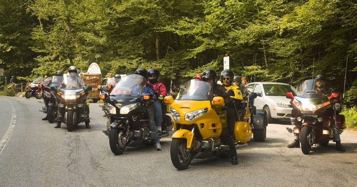 A group of motorcyclists paused in front of green trees.