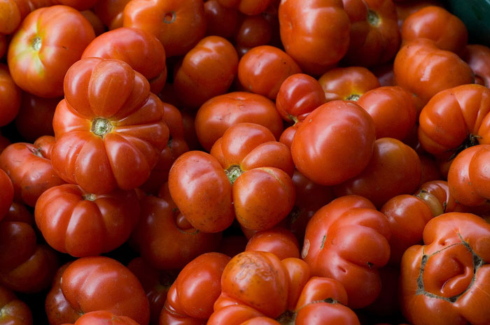 Many heirloom tomatoes of unusual shapes.