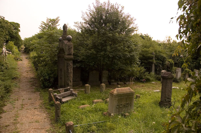 A tombstone and other grave markings amidst overgrown grass.