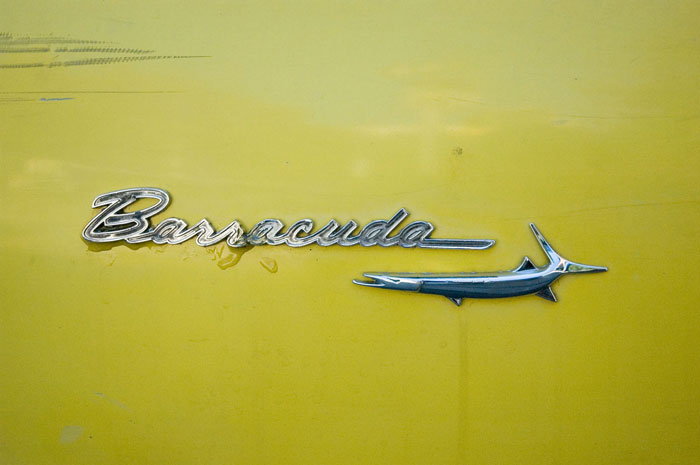 Chrome ornaments of Plymouth Barracuda, against yellow.