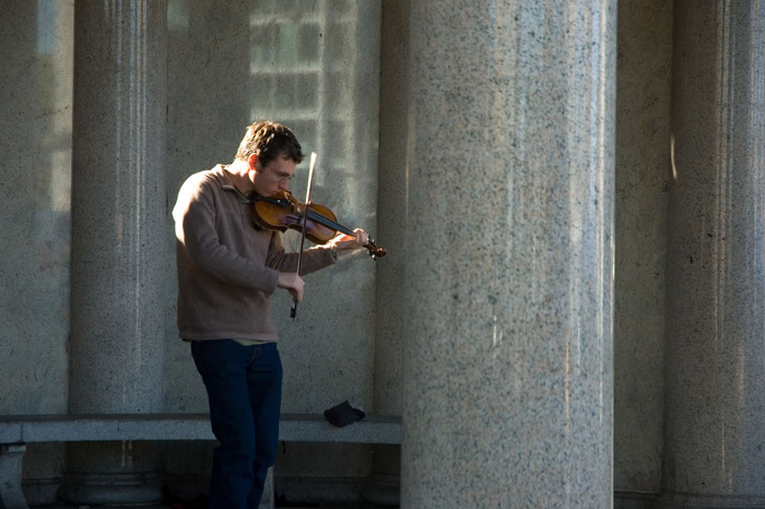 Sunlight catches a violinist concentrating on his music.