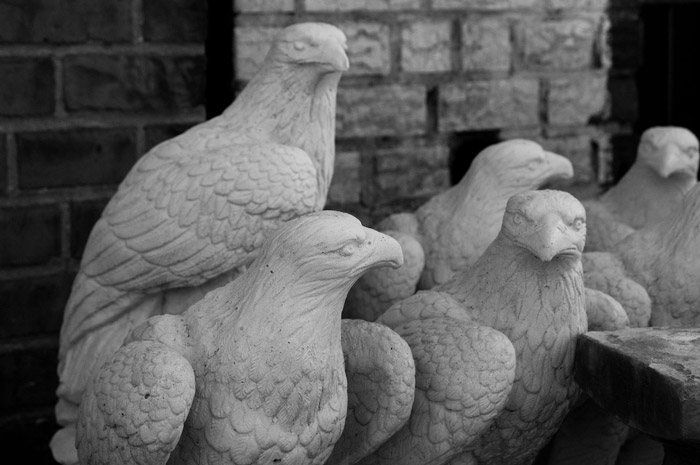 Several plaster eagle statues, looking this way and that.