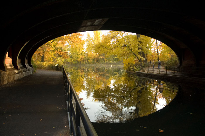 Under a bridge, autumn colored trees in the distance.