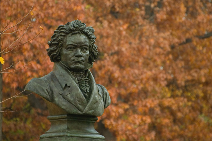 A bust of Beethoven, with a resolute face, stands out against autumn leaves.