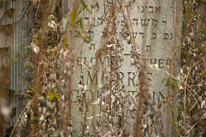 A tombstone has been engraved with expressions of love, but is covered in dead vines.