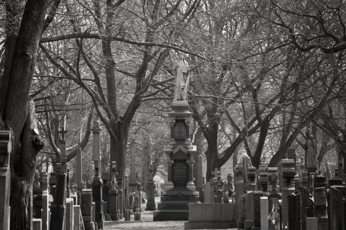 In a cemetery aisle, one statue rises above all the rest, but trees are taller still.