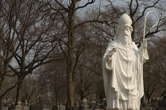 A statue of St. Patrick shows him in bishop regalia, holding a clover in his right hand.