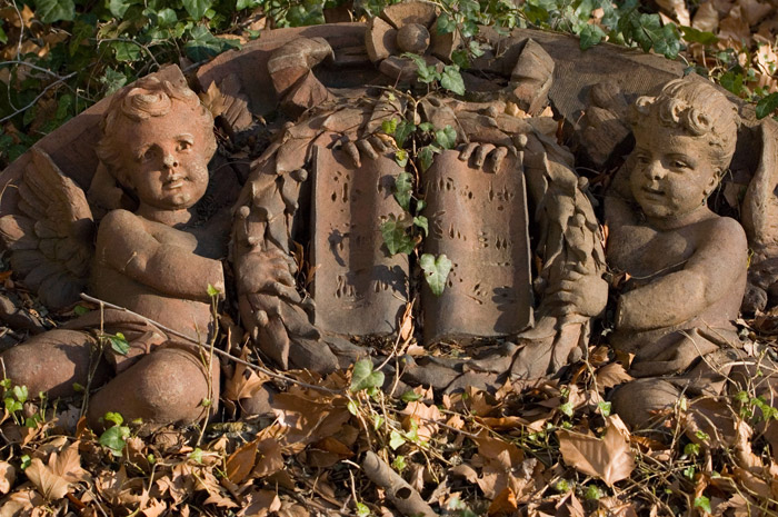 An architectural detail, laying now among ivy, shows two cherubs with an open book.