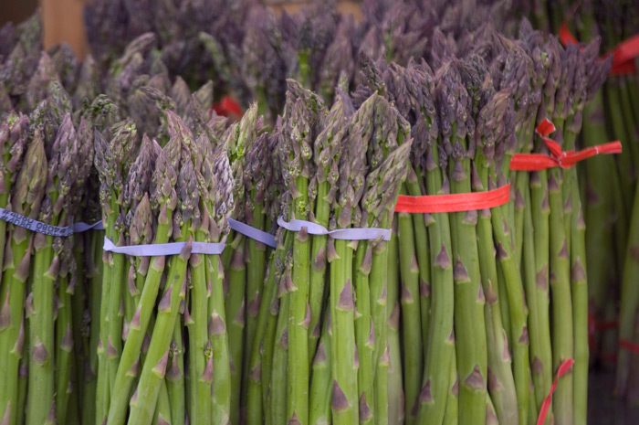Several bunches of asparagus, tied together with rubber bands, stand on end at a farmers' market.