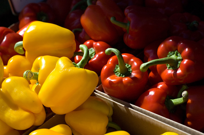 Red and yellow bell peppers in the sunlight, partially in the shade.