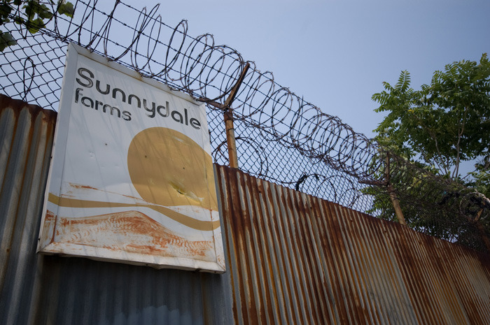 A faded metal sign for a dairy called 'Sunnydale Farms' is at the top of a steel fence with barbed wire.