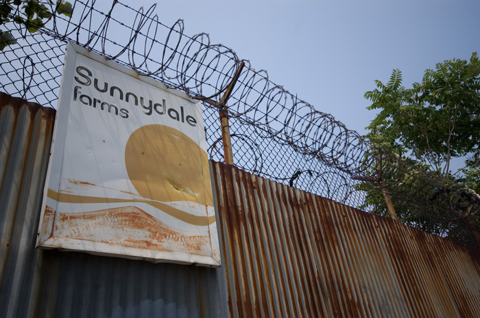 A faded metal sign for a dairy called 'Sunnydale Farms' is at the top of a steel fence with barbed wire.