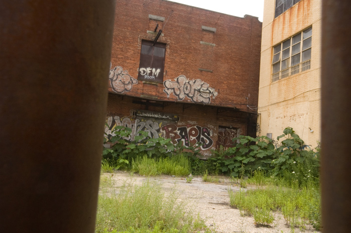 The loading area of an old, abandoned industrial building has been taken over by weeds and graffiti.