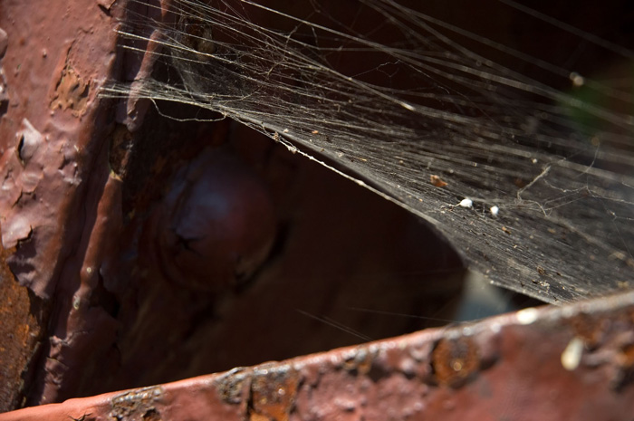 A cobweb spans the rusted spans of an iron bridge.