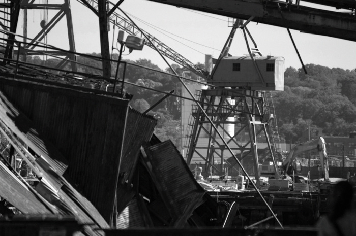 A solitary dock crane, used for unloading cargo, stands between debris and trees.