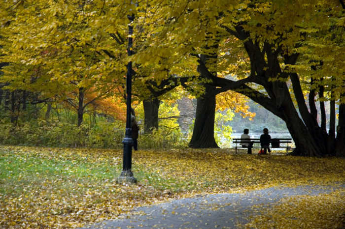 Two people sit on a park bench by a lake, framed by trees in Autumn reegalia.