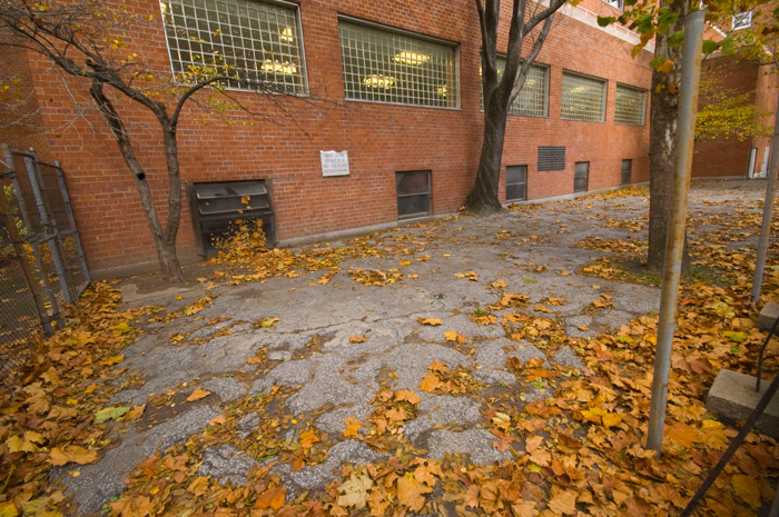 Brown, dead leaves lie throughout an empty school yard.