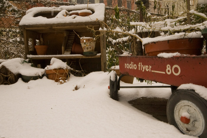 Snow in a back yard has covered various benches and plant stands, as well as a child's red wagon.
