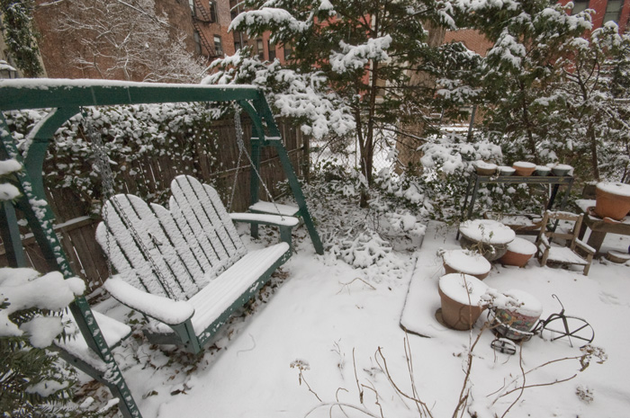 The corner of a back yard, including its bench swing, has been covered with a gentle coat of snow.