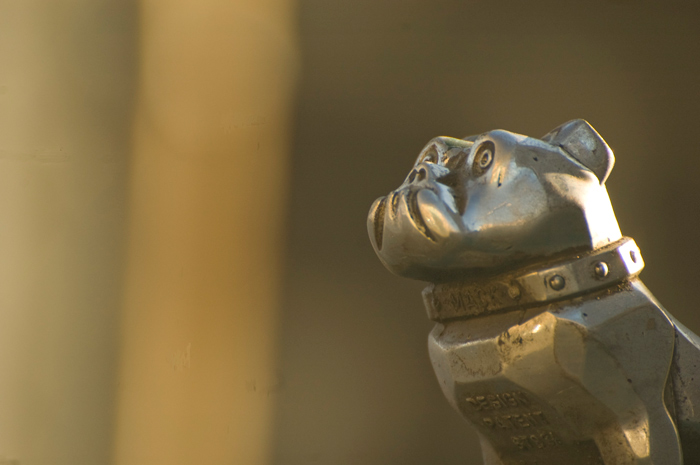 A bulldog hood ornament on a Mack Truck stands firm as ever, but a scratch on this one makes it look like it's shed a tear.