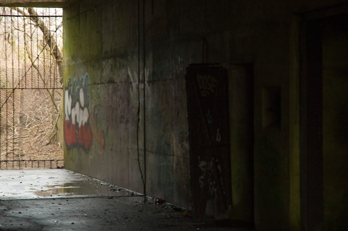 Light from a fenced off doorway shines into a dark, cavernous entrance way.