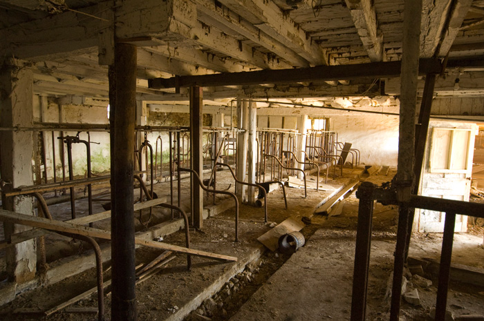 Sun shines into a chamber of an old barn where rows of livestock once stood.