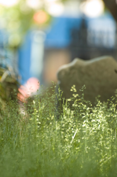 An 18th Century tombstone sits among high green weeds, with blue gate posts from the subway in the background.