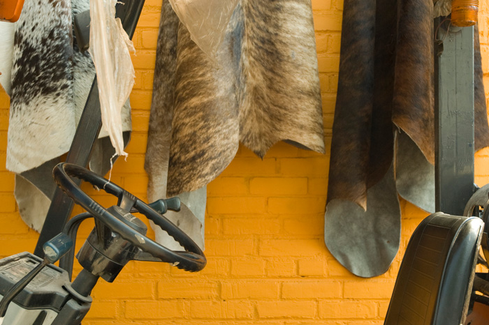Several animal pelts hang against the yellow wall of a carpet store.