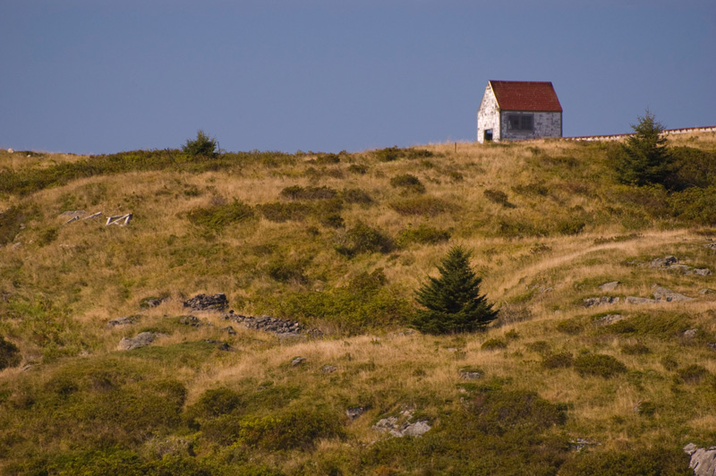 A small, one room building sits on a rise, surrounded by undergrowth and very few trees.