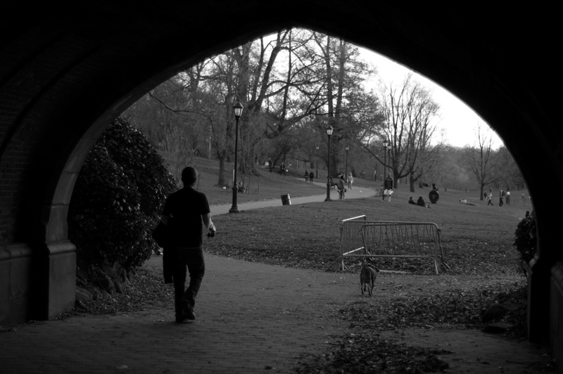 A man and his dog walk into a clearing from under a pointed arch.