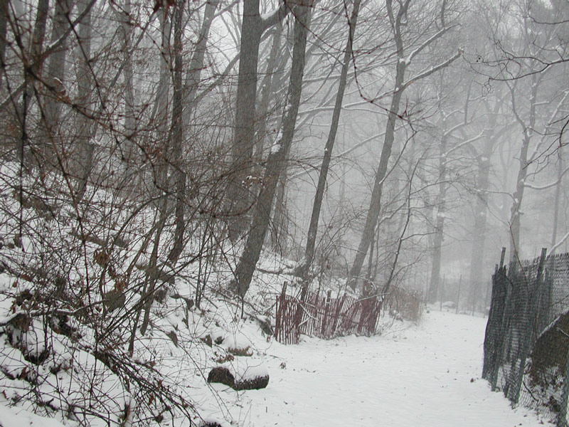 Snow covers a path and surrounding hills with trees.