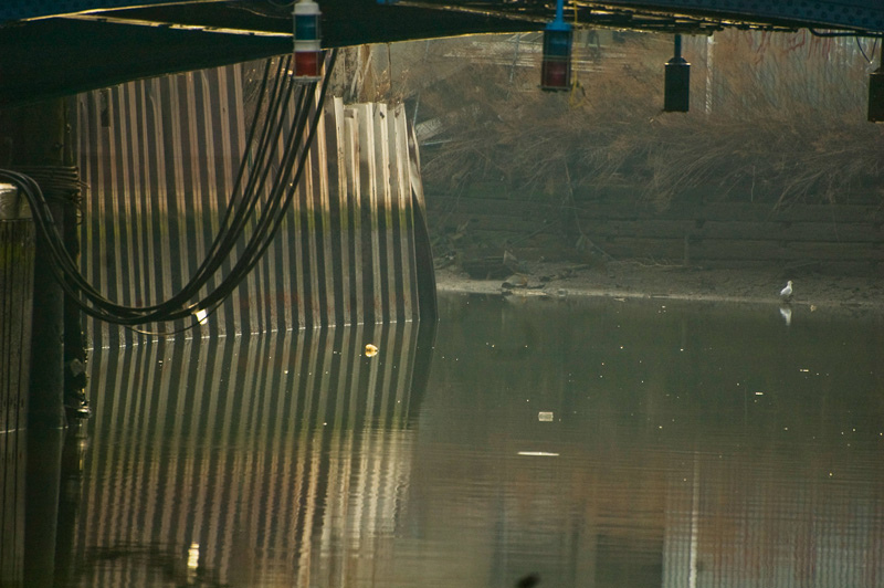 Litter is sprinkled on a canal, with a water fowl by a shore.