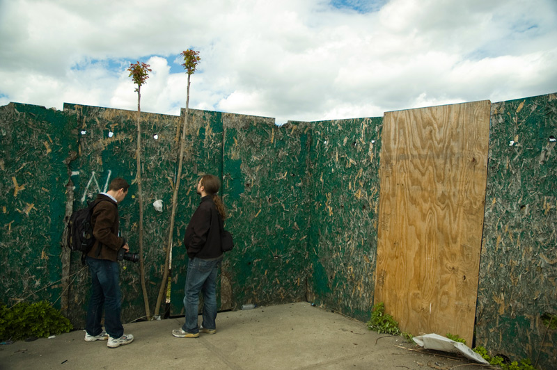 Two men gaze at a thin tree growing next to a green fence.