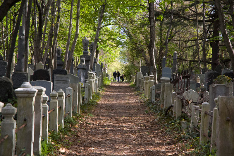 People stand in the distance, down the center of a cemetery aisle.