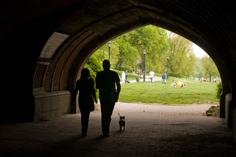 A couple walk their dog from darkness into sunlight.