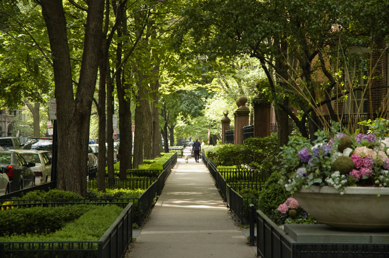 A woman walks her dog on a sidewalk dominated by trees and flowers.
