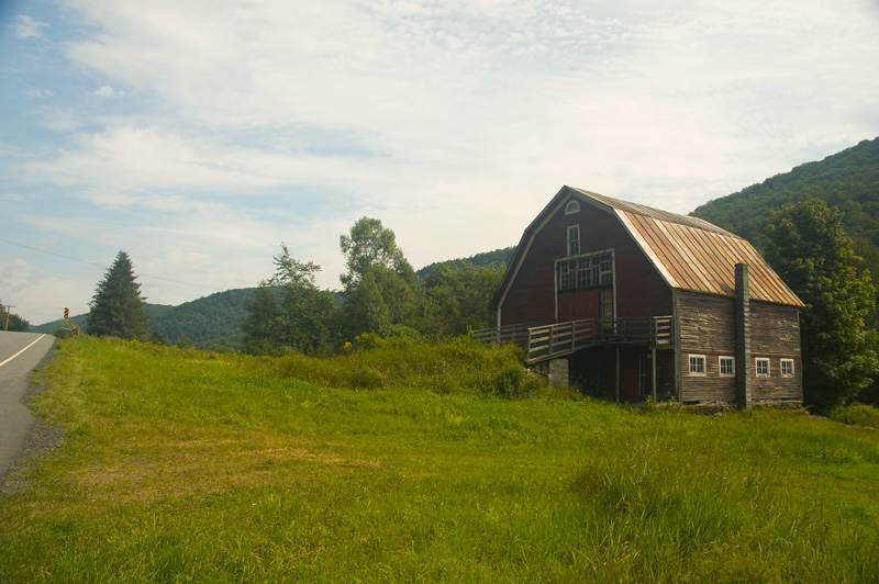 A red barn with high weeds by the side of a road.