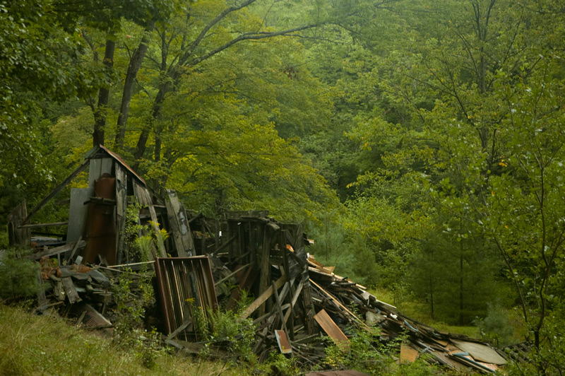 A wooden shack, completely collapsed, amid trees.