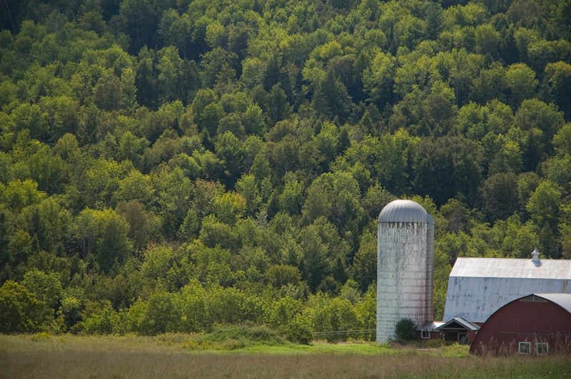 A silo and barn, against a mountain and trees.