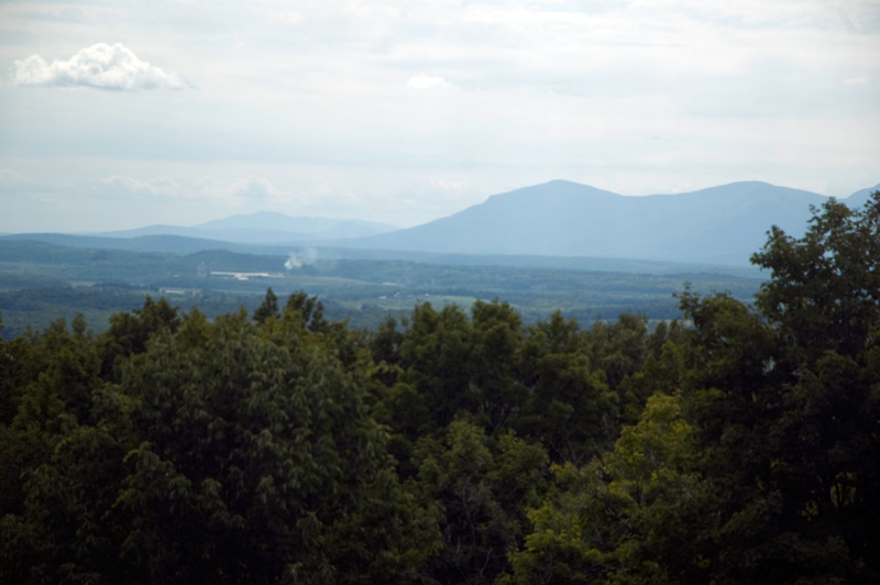 Distant mountains over a ridge of trees.