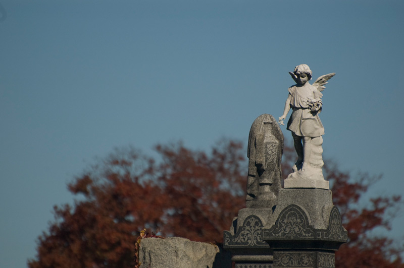 In a cemetery, a statue of a young angel scattering petals.