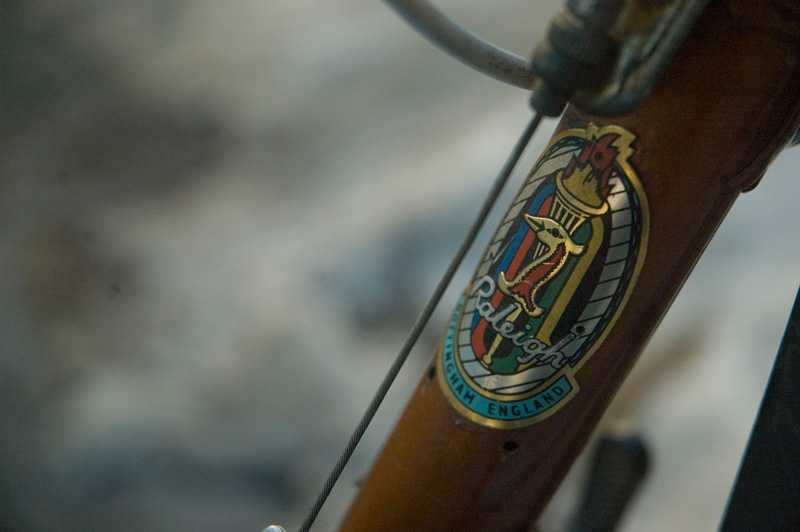 A colorful Raleigh head badge with a heron and torch.