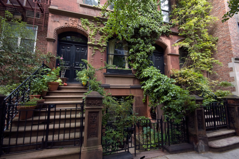 Vines surround the windows and front of a home.