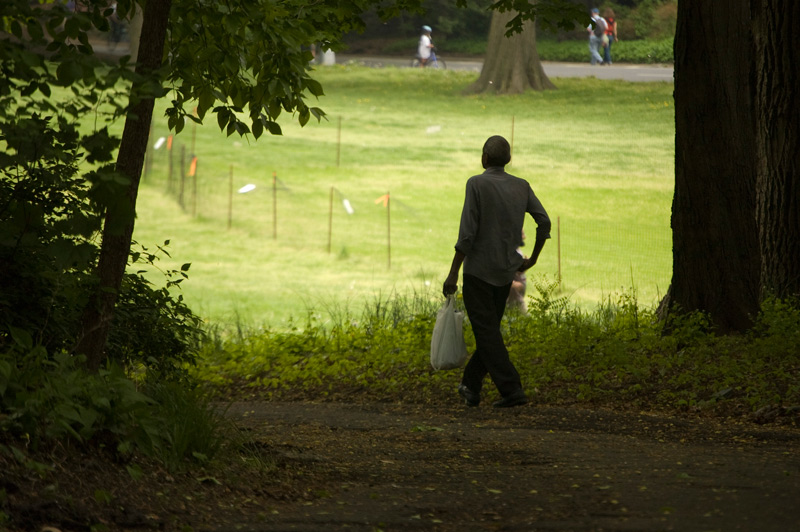 A man walks from the a darkened forest area into a clearing.