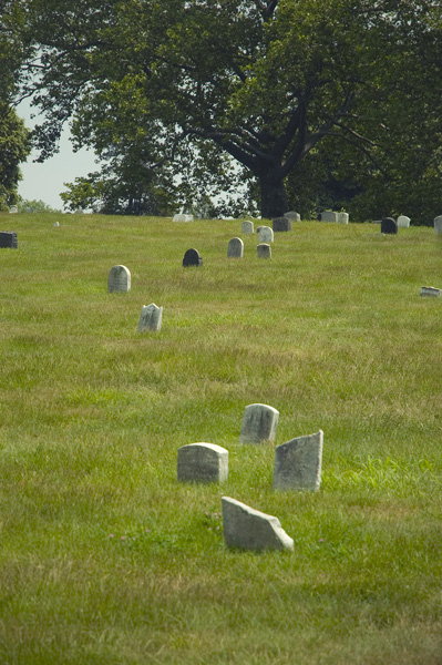 Irregualrly placed tombstones on a hill, below a tree