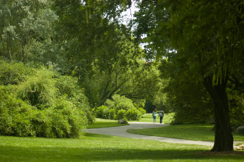 Two people on a walkway curving between bushes and trees.
