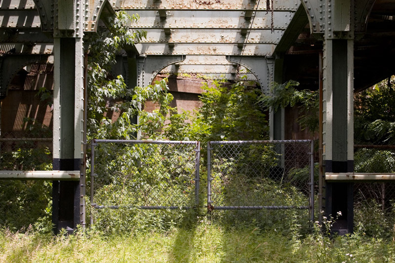 A gate in a chain link fence, surrounded by tall weeds.