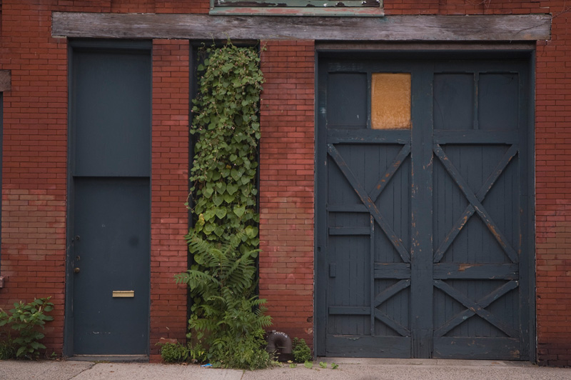 A wooden door, braced with all sorts of diagonal, vertical, and horizontal struts.